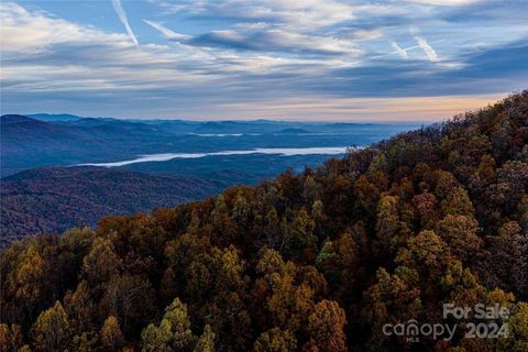 99999 Holbert Cove Road Saluda NC 28773