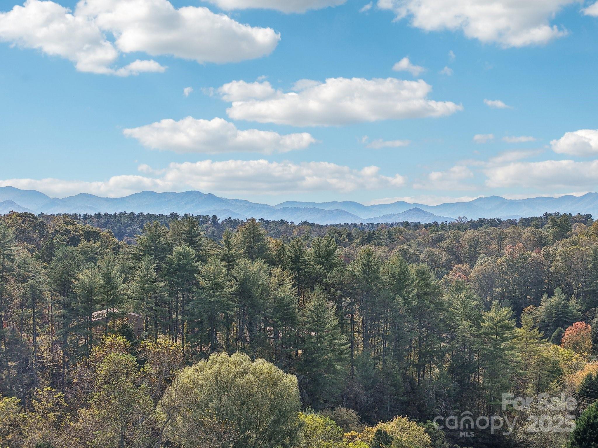 136 Ridge Brook Drive