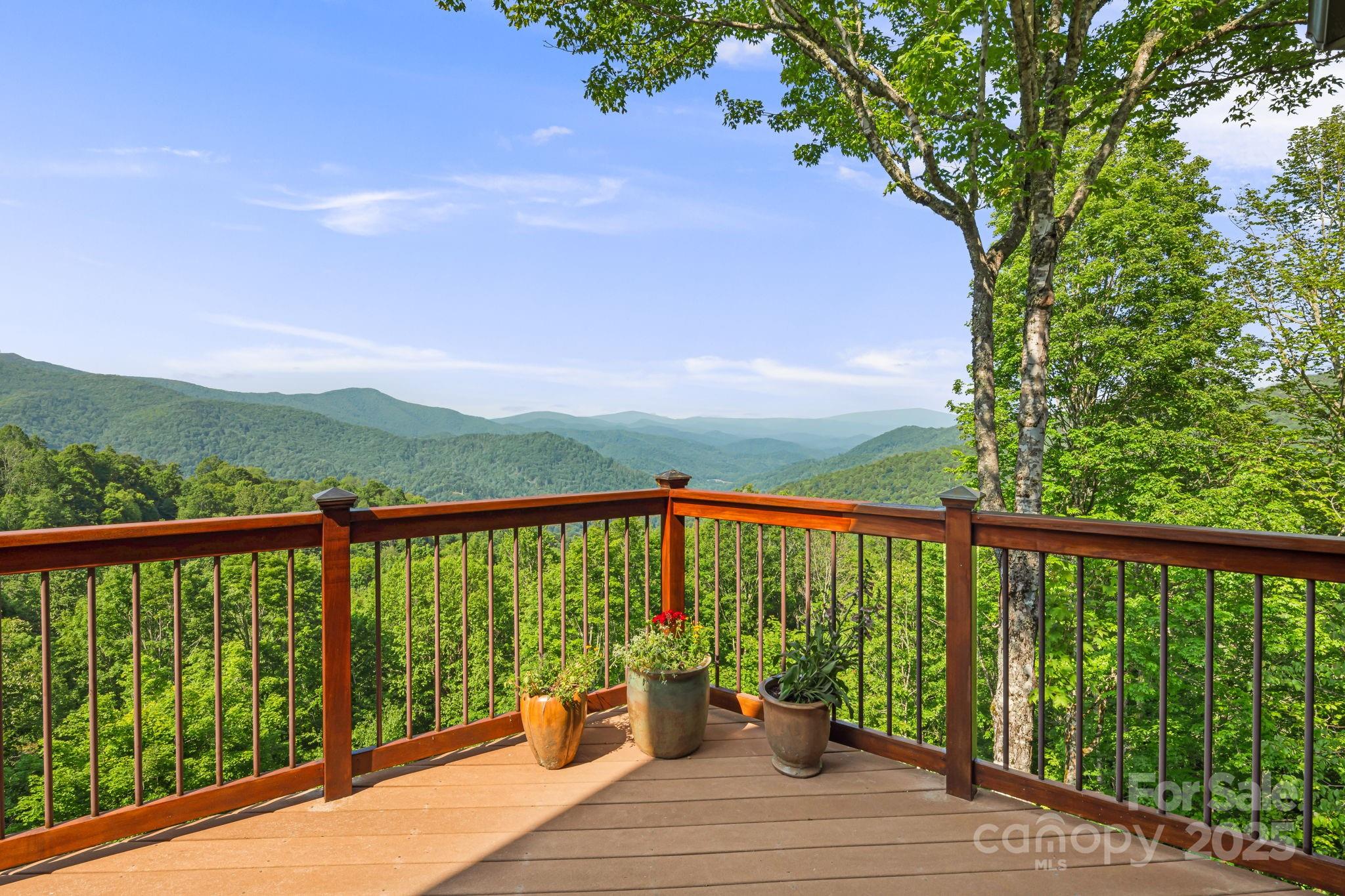 Wolf Laurel - Residential