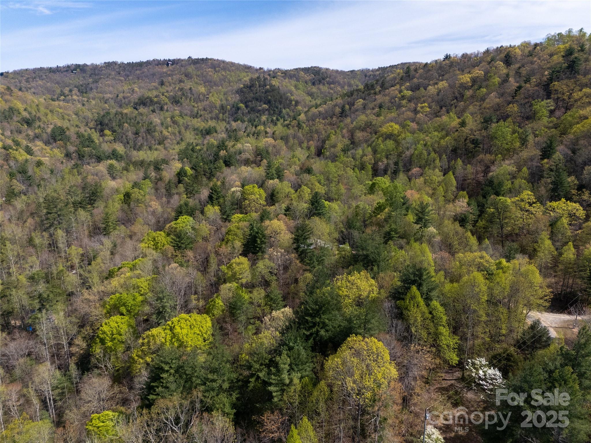 2668 Reedy Branch Road