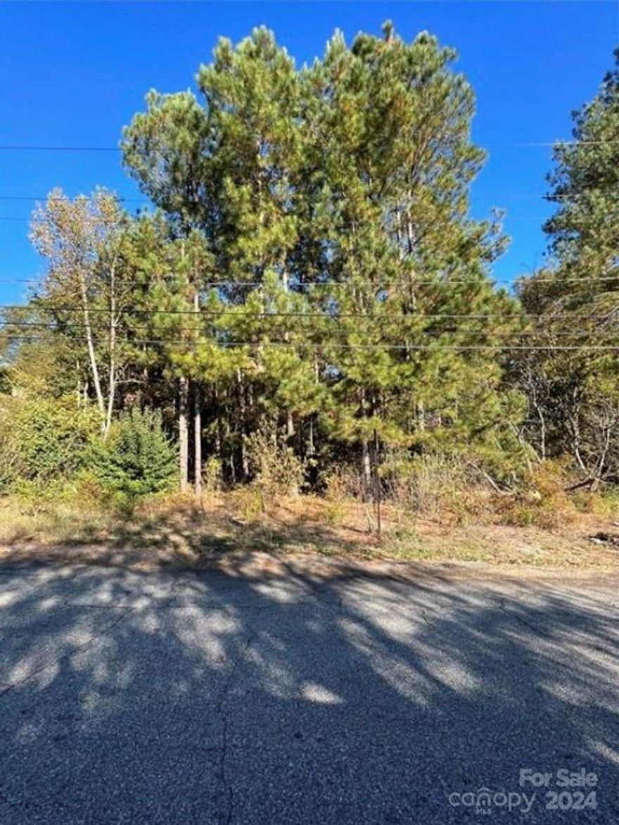 OWNER FINANCING AVAILABLE This wooded double lot, measuring over half an acre, is a slice of heaven nestled in a quiet neighborhood. It is the perfect place to start a new beginning and create your dream home full of privacy and country living. It has an assortment trees, including evergreens, creating a peaceful and tranquil atmosphere in any season.. Owner finance with 30% - 50% down and 12% interest for 10 years