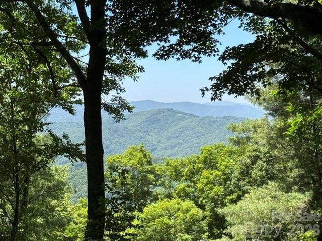 1209 Mckinney Gap Drive