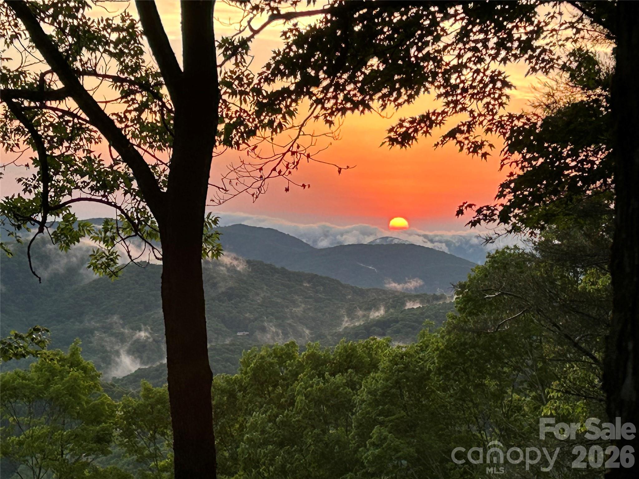 1209 Mckinney Gap Drive