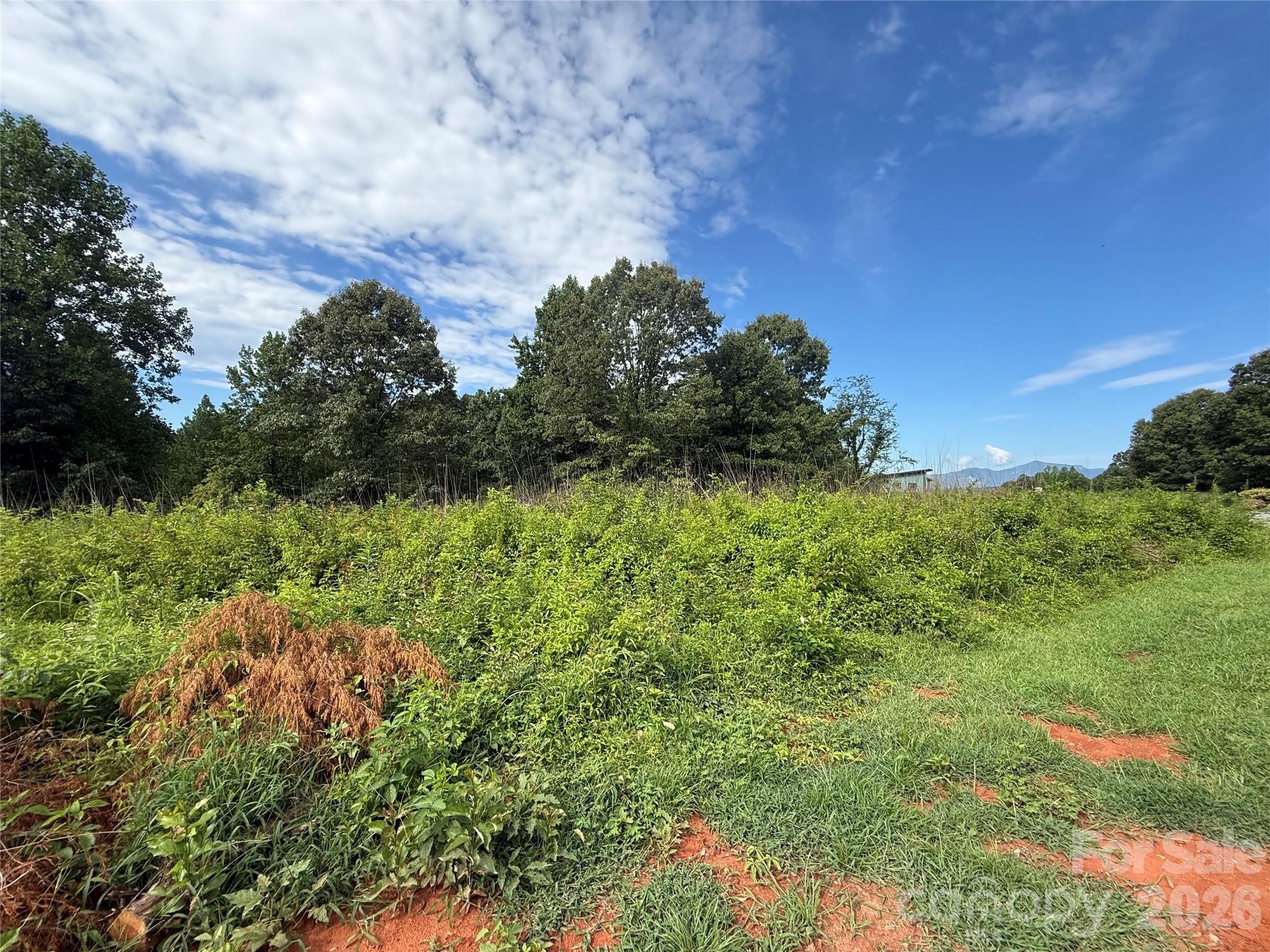 LOT 73 Ole Plantation Drive