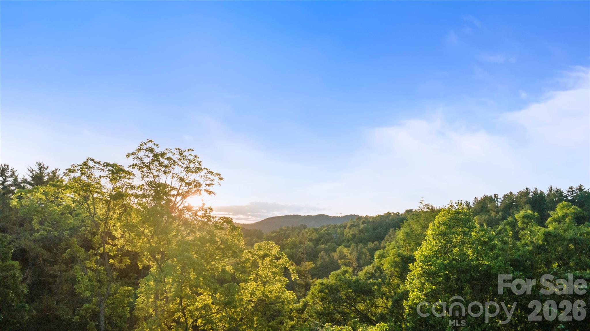 River Highlands at Madison Crs - Land