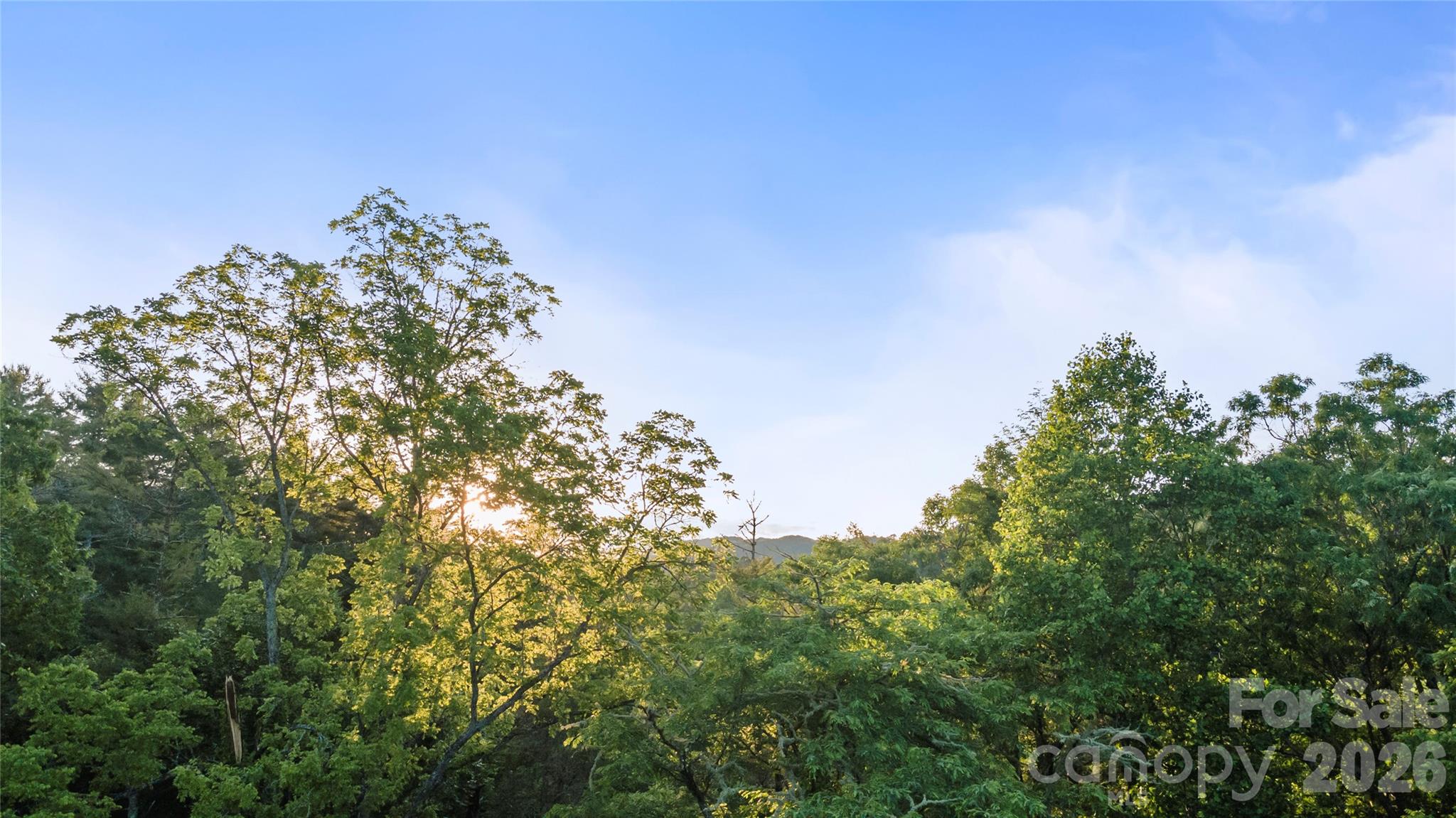 River Highlands at Madison Crs - Land