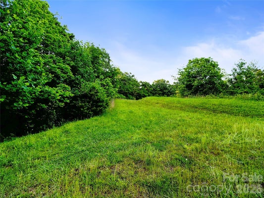 99999 BEAR CREEK ROAD # 38, MARSHALL, NC 28753 - Image 51bf1dfd72a5ec2ed9a674fa2659dd61/360685789