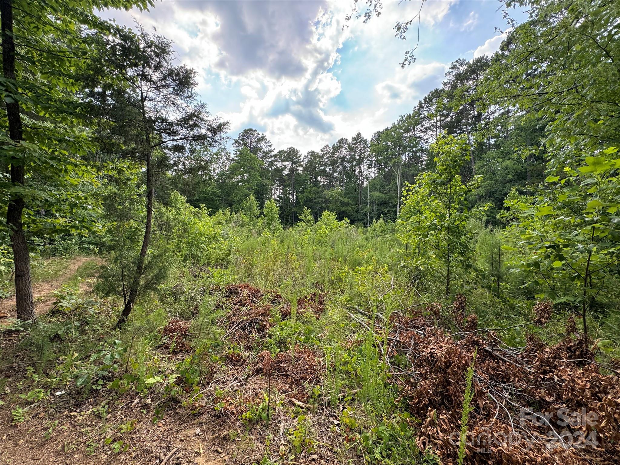 Wellington Estates - Land