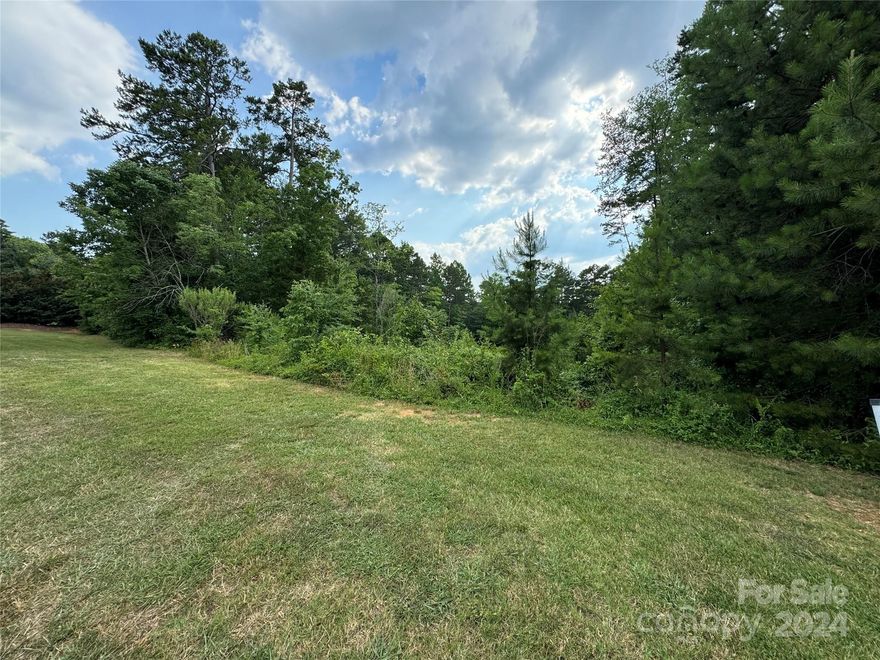 MOTIVATED SELLER! Who is ready to BUILD in the great neighborhood of Wellington Estates.  Wonderful 1.23 AC that would be perfect for a basement home. Exterior lot wooded but at one time the inside was cleared so wouldn't take much to re-clear it. Will need a well/septic. Perked for 5 Bedrooms years ago.
Restrictions and Covenants ( SQ FT, No Manufactured or doublewide) are in place with the neighborhood and HOA is $600/year.
 House will sit 60 feet back from road.   Don't let this lot slip by.......