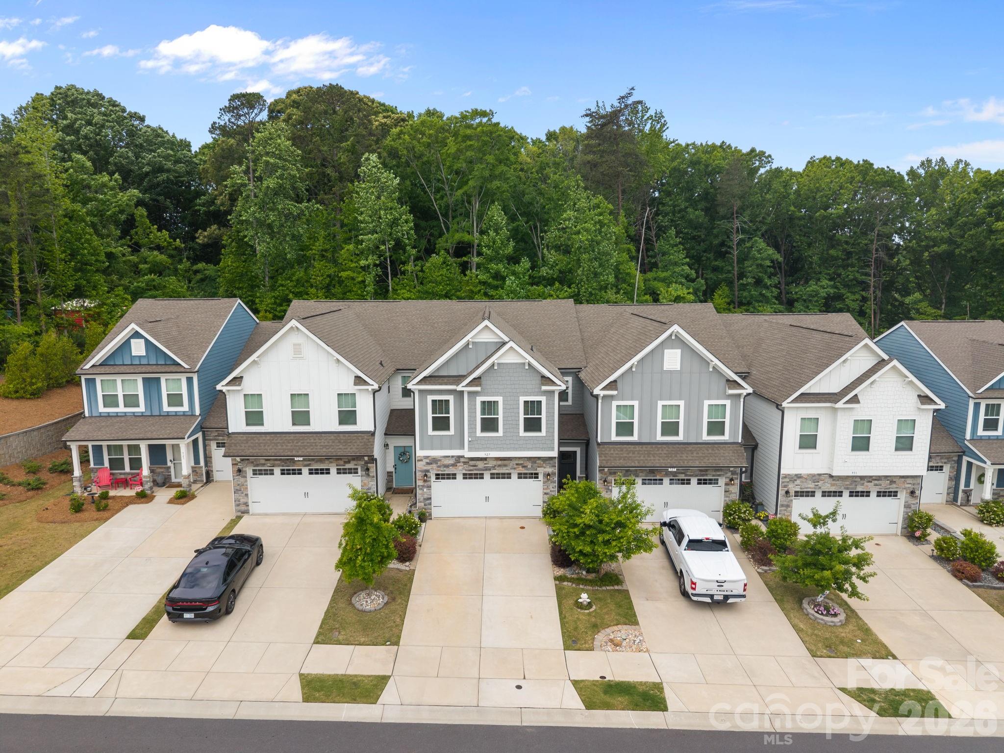 Colony at Handsmill - Residential