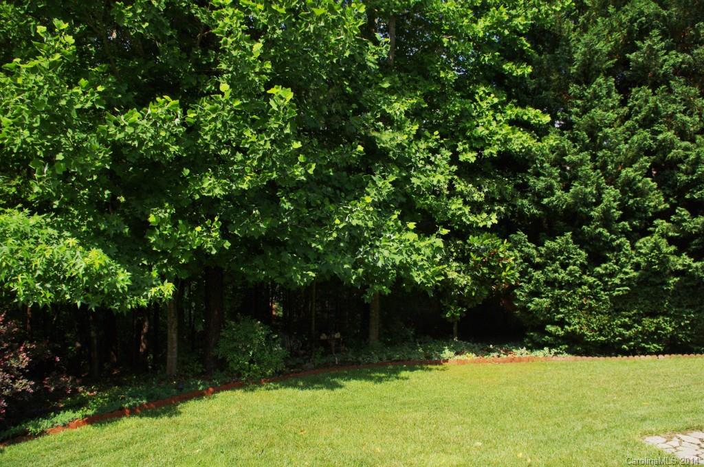 Palmetto West - Residential