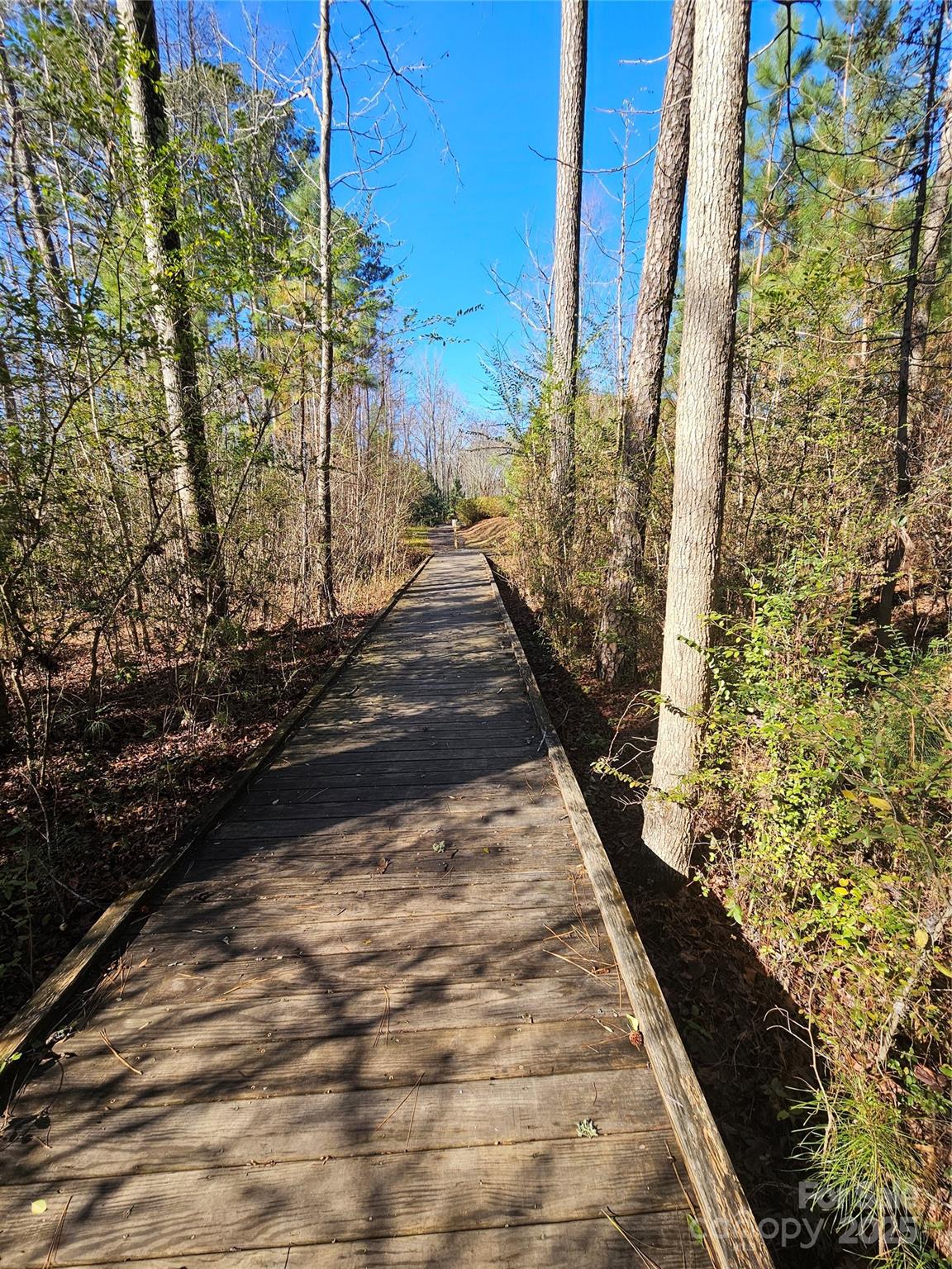 The Preserve At Riverchase - Residential