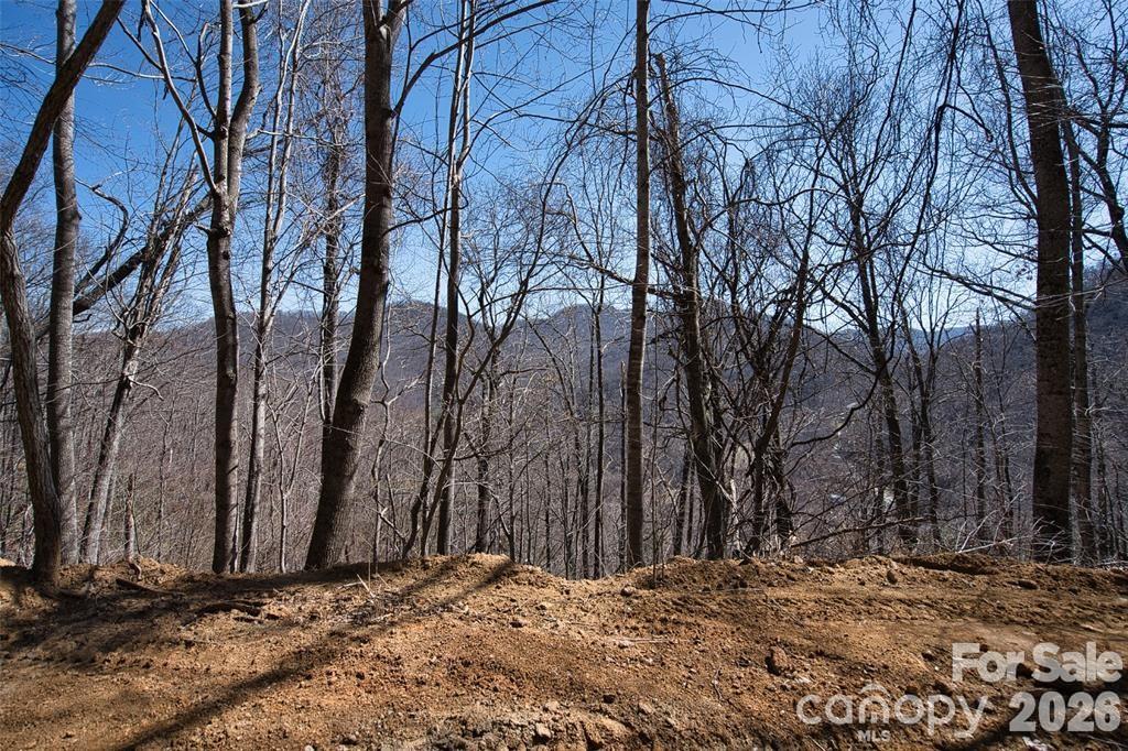 Greenridge Falls - Land