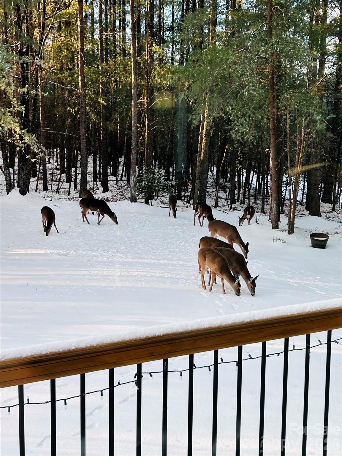 Yellowtop Mountain Estates - Residential