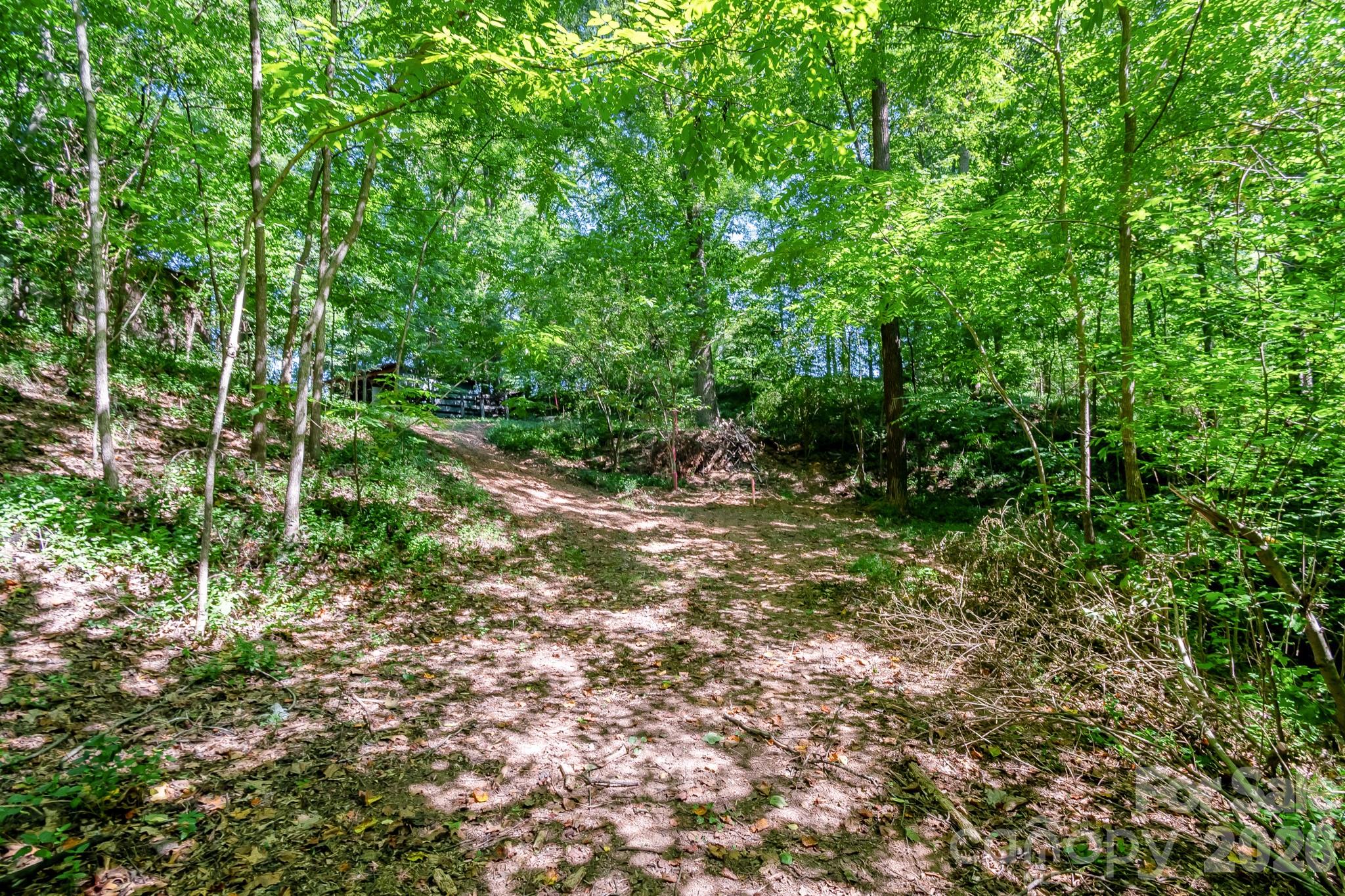 2520 Austin Chaney Road