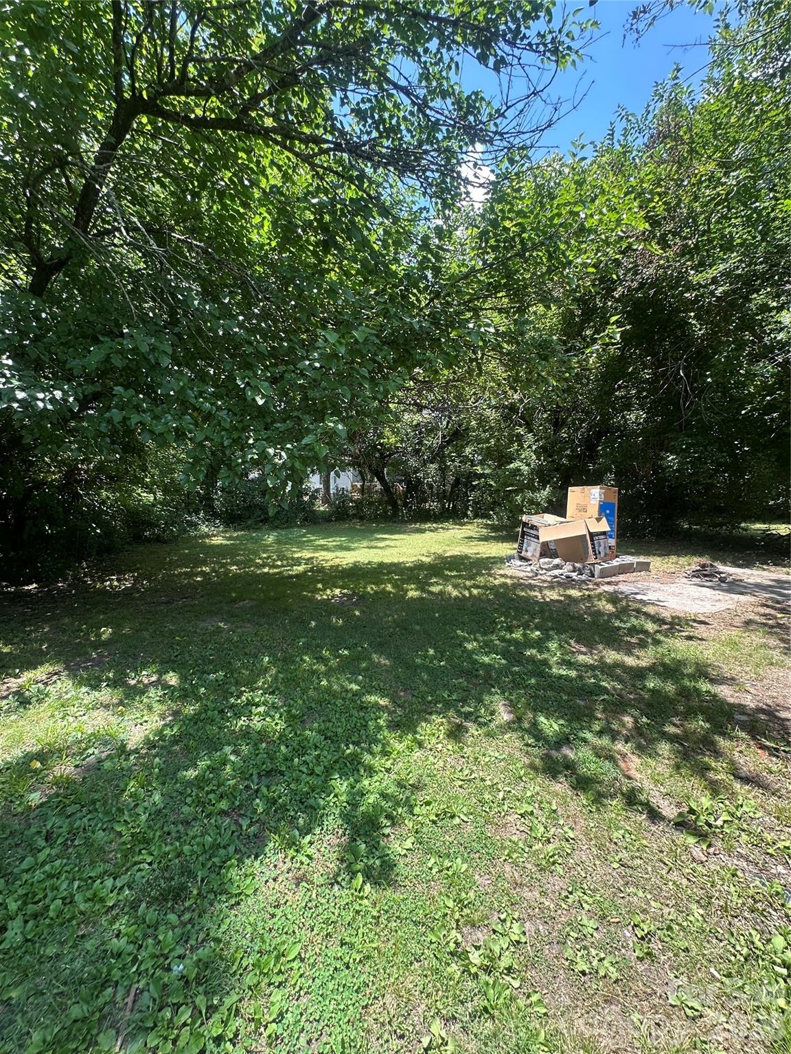 238 Cornelius Drive