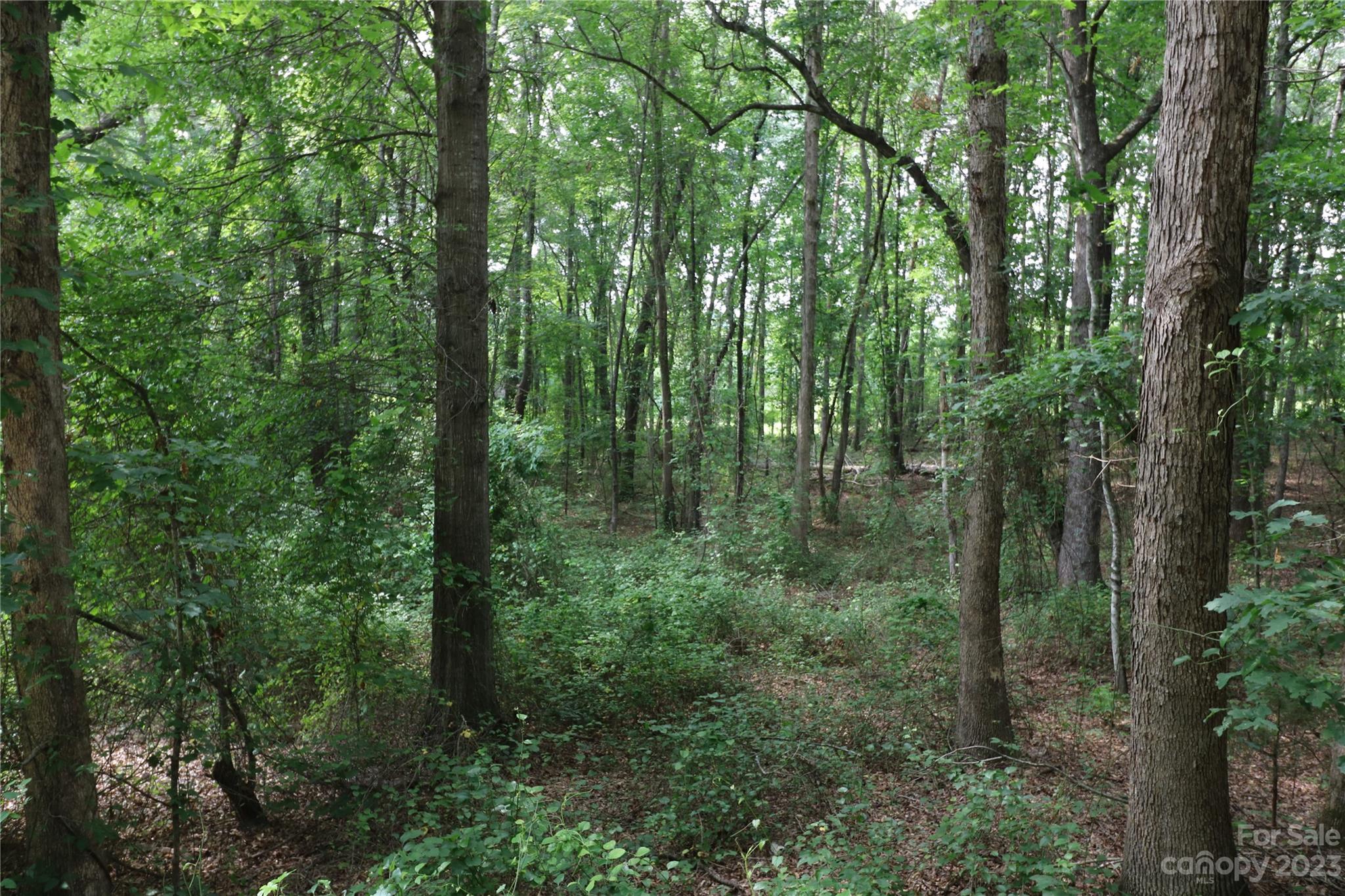 Lot 20 Commercial Drive