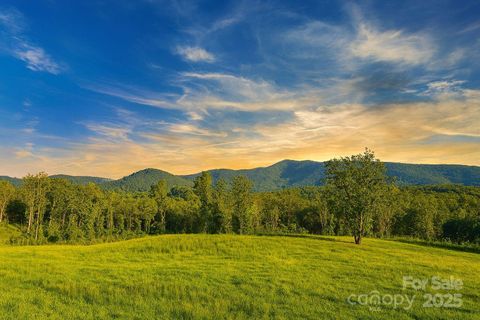 Photo of 221, 219 McNeilly Road, Casar, NC 28020 (MLS # 4287190)