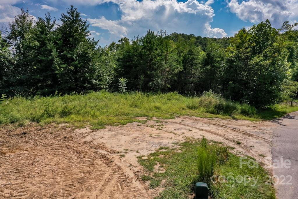 Blue Heron Point - Land