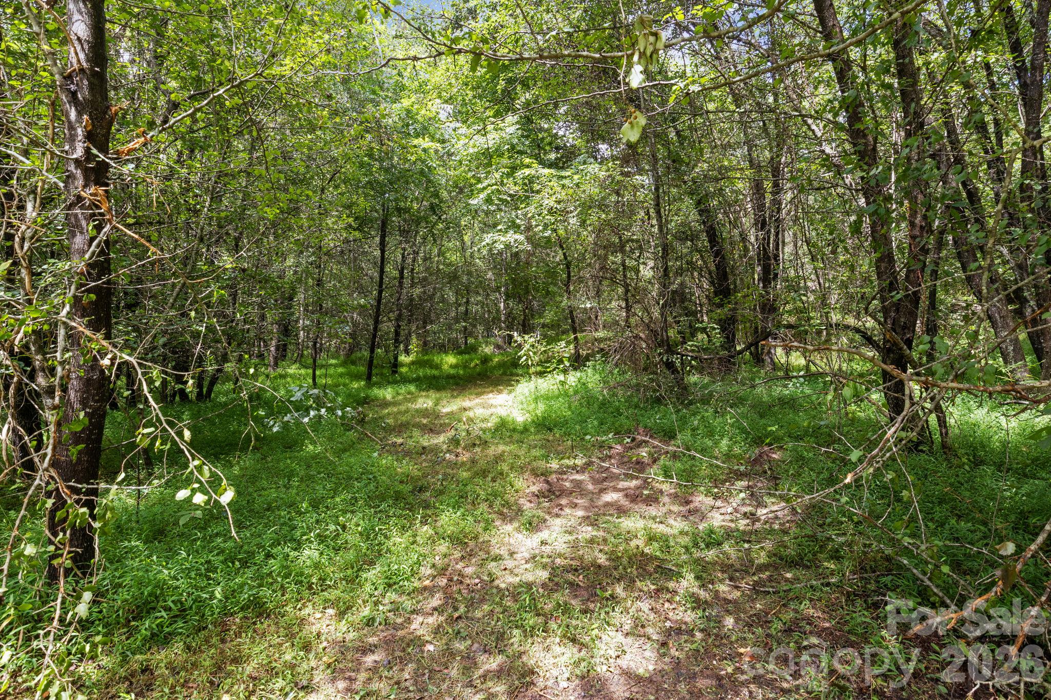 0 10th Avenue Drive SW