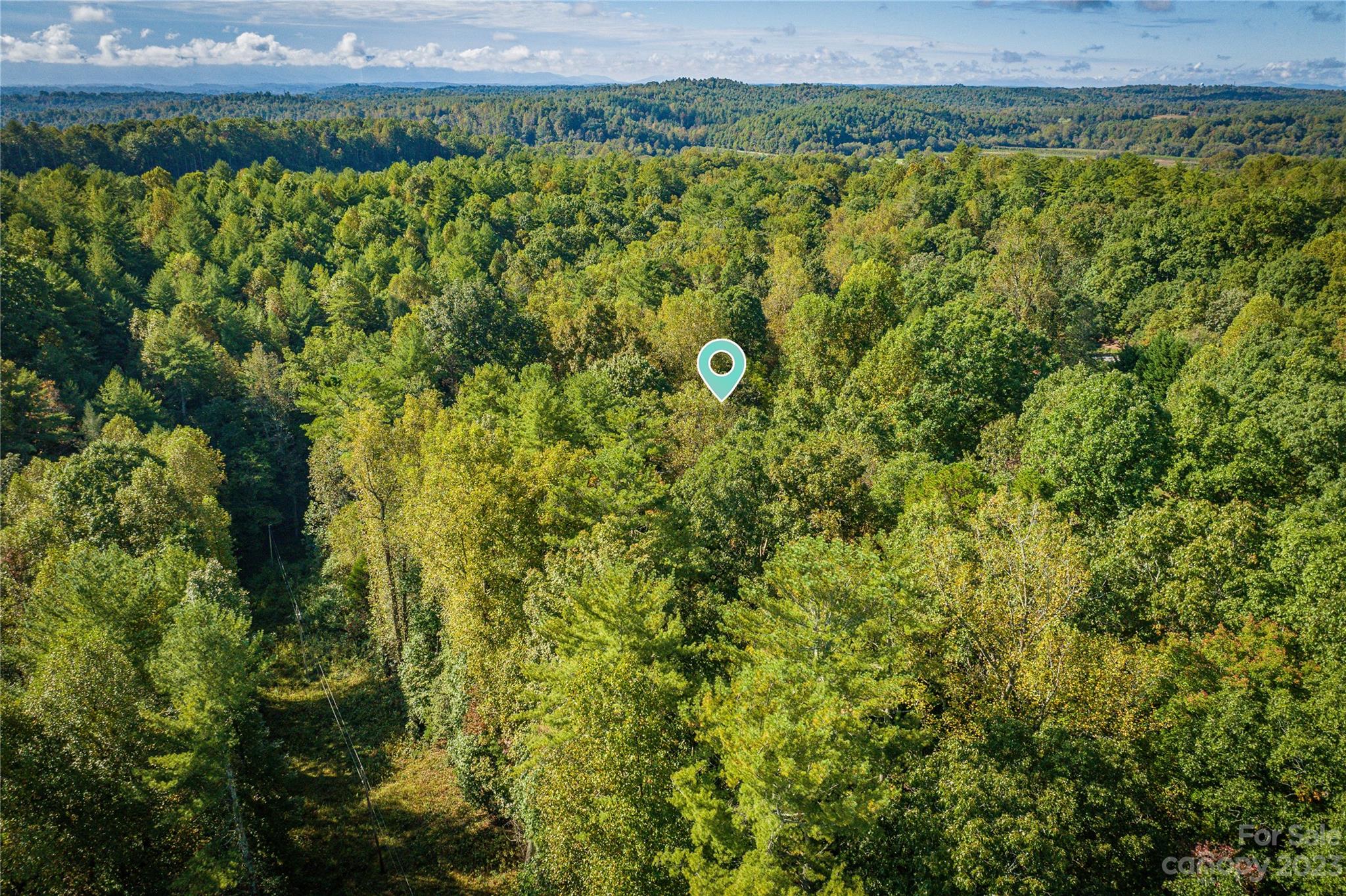 Sherwood Forest - Land