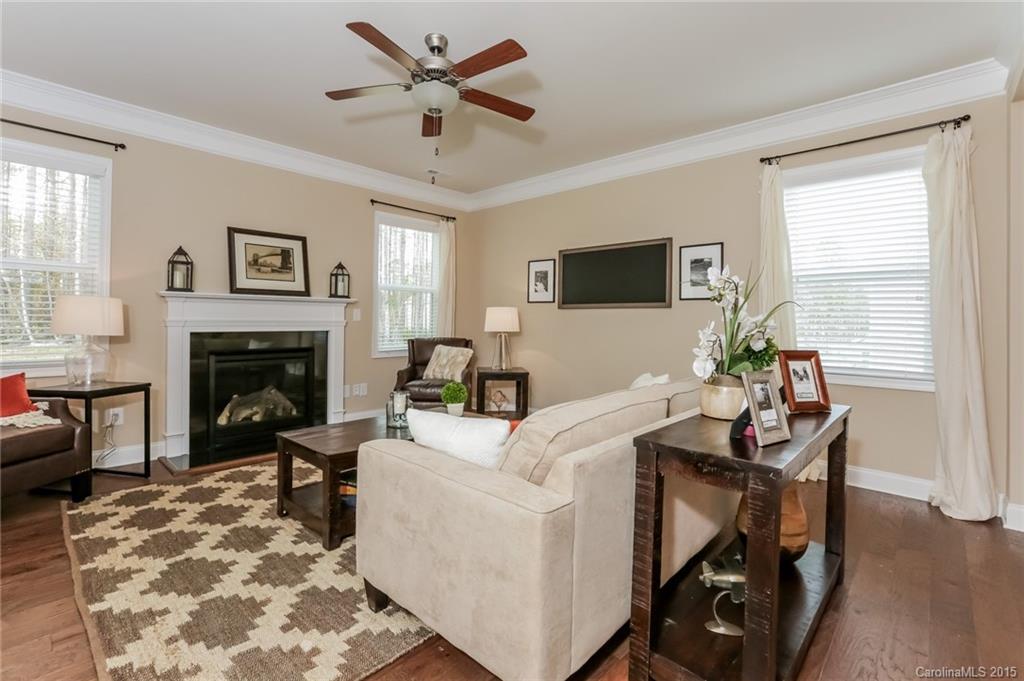 Palm Tree Cove Ii - Residential