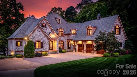 Photo of 4246 Sigmon Cove Lane, Terrell, NC 28682 (MLS # 4338101)