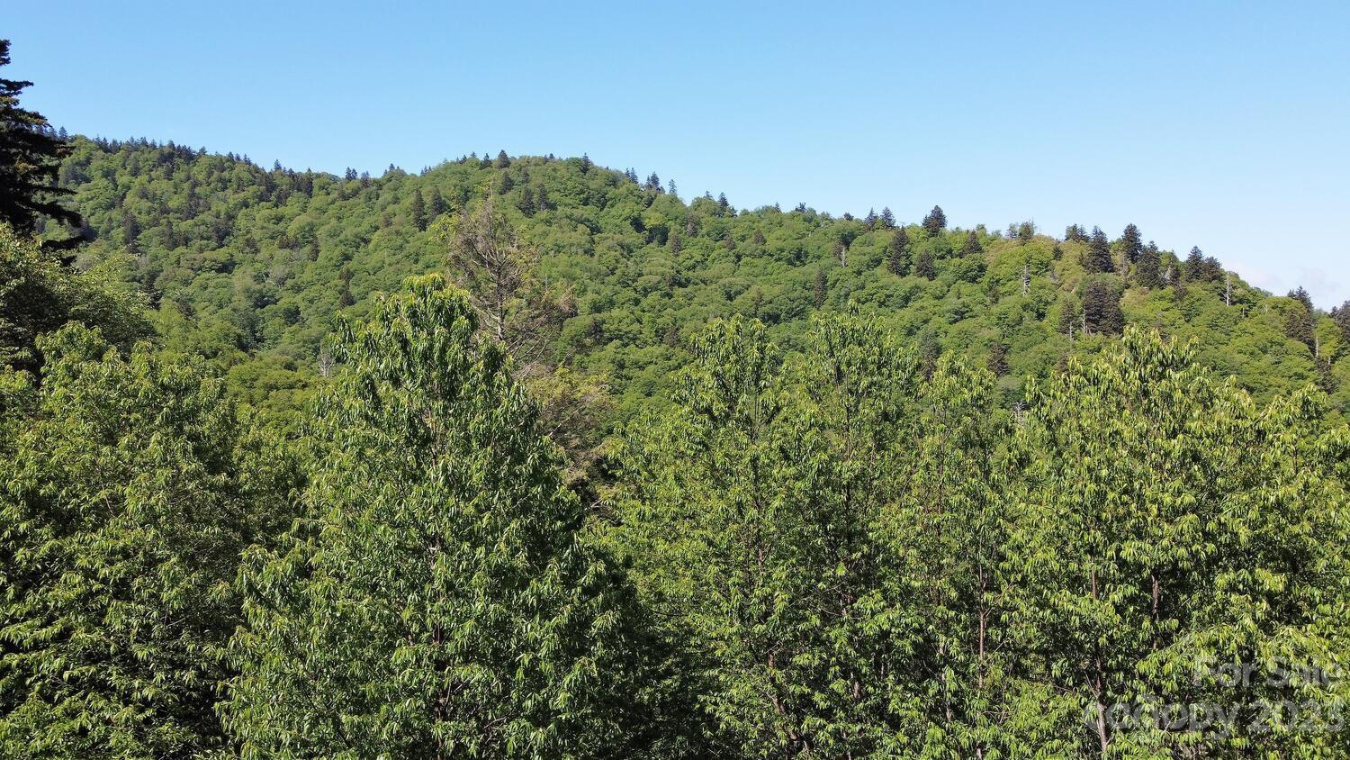 Black Rock Creek - Residential