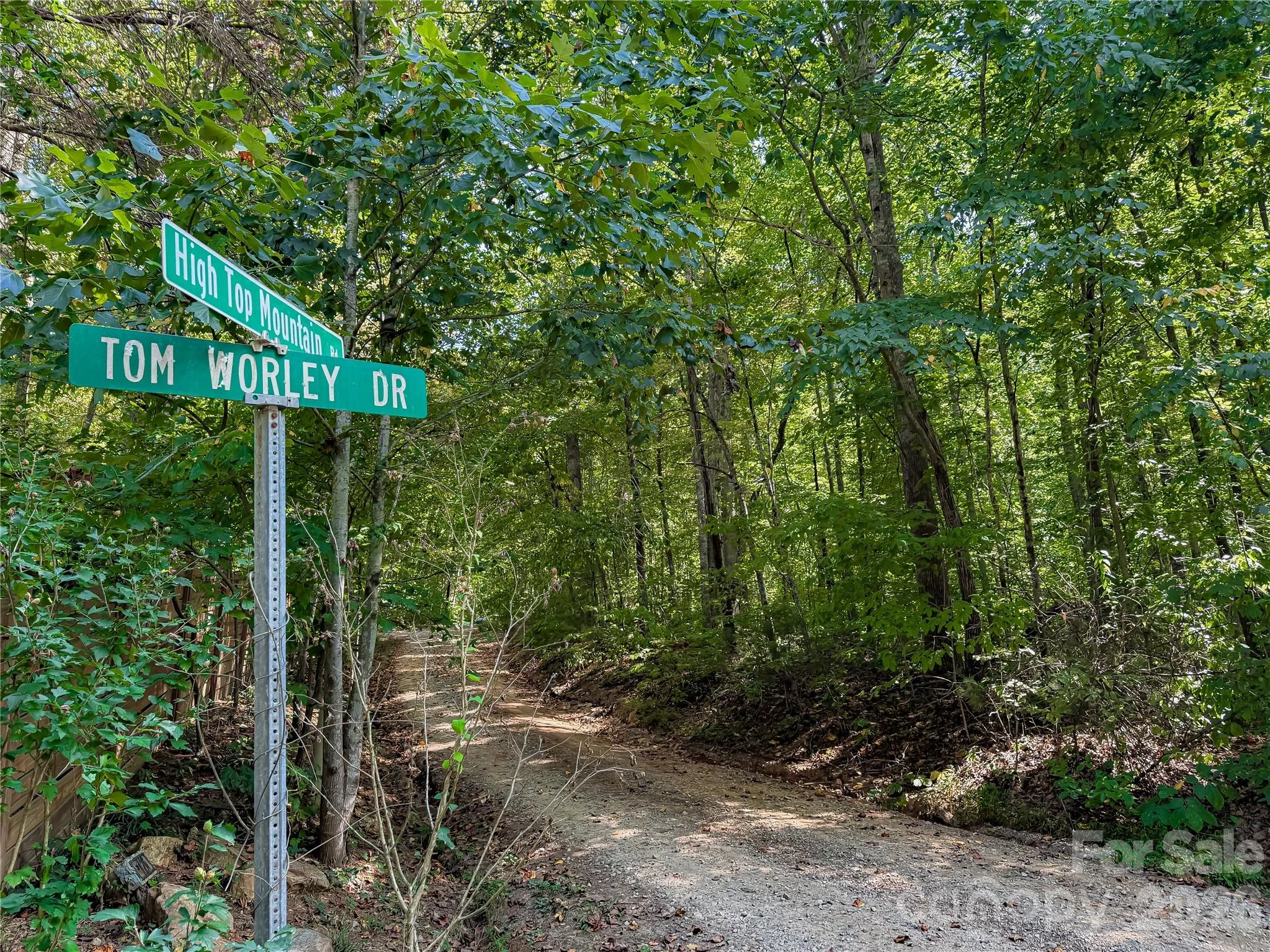99999 High Top Mountain Road Unit Lot 1, Leicester, NC, 28748