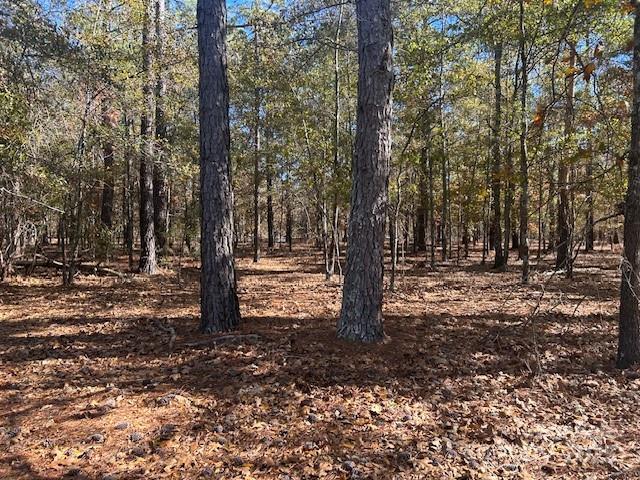 1060 Neds Creek Road