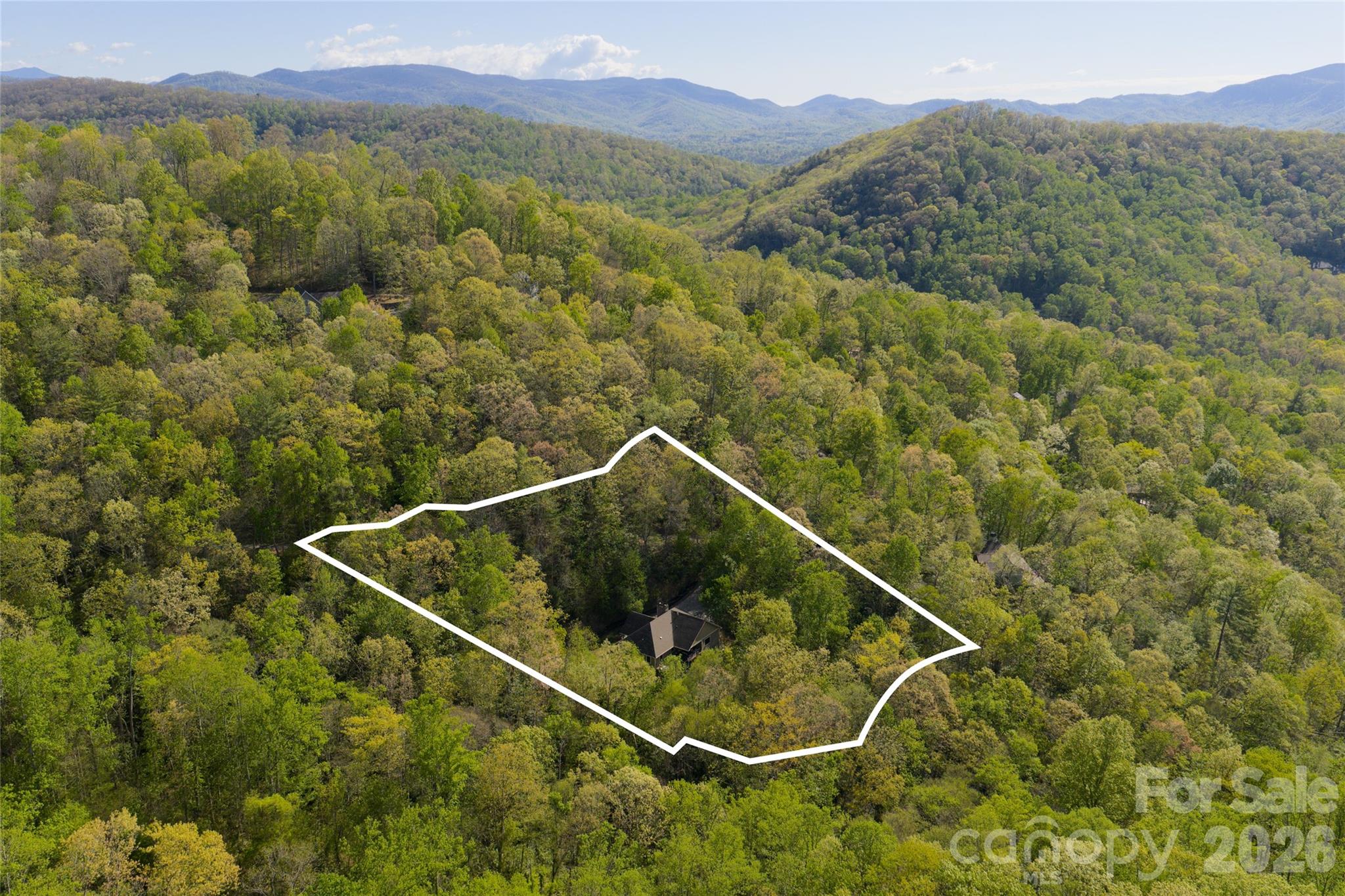 36 Snowshoe Drive
