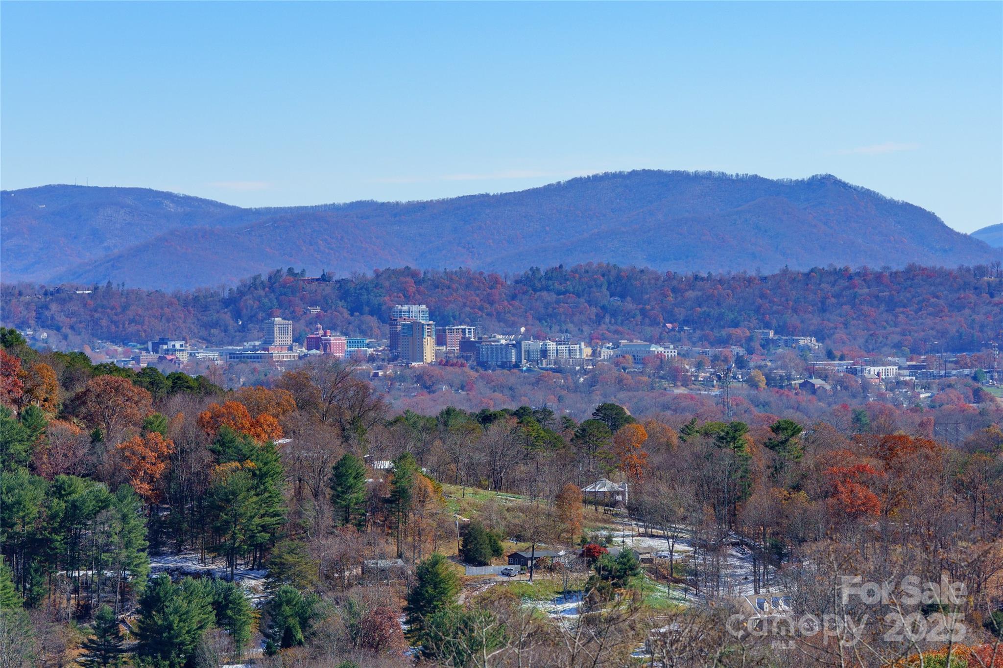 41 Ben Lippen School Road