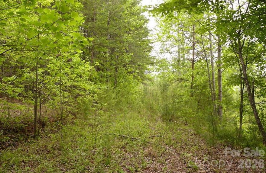 Don’t miss this rare opportunity to own 1.51 acres just outside the Lake Lure city limits. Properties like this are getting harder to find, especially with such light restrictions. That means you have the freedom to build what you want, when you want, without the usual headaches. You get the peace and space of the mountains while staying just minutes from Lake Lure’s beauty, dining, and outdoor activities. Land this flexible, this close to Lake Lure, doesn’t stay available for long. If you’ve been waiting for the right piece of land without the usual limits, this is it. Reach out today to walk the property and see what’s possible before someone else does.
