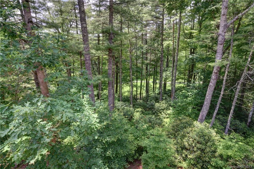 Holly Forest - Residential