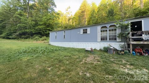 Photo of 468 Long Branch Road, Green Mountain, NC 28740 (MLS # 4387792)