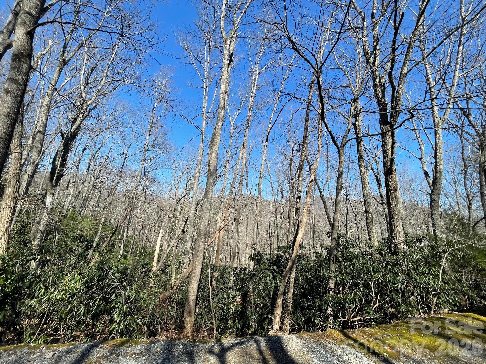 Buffalo Mountain - Land