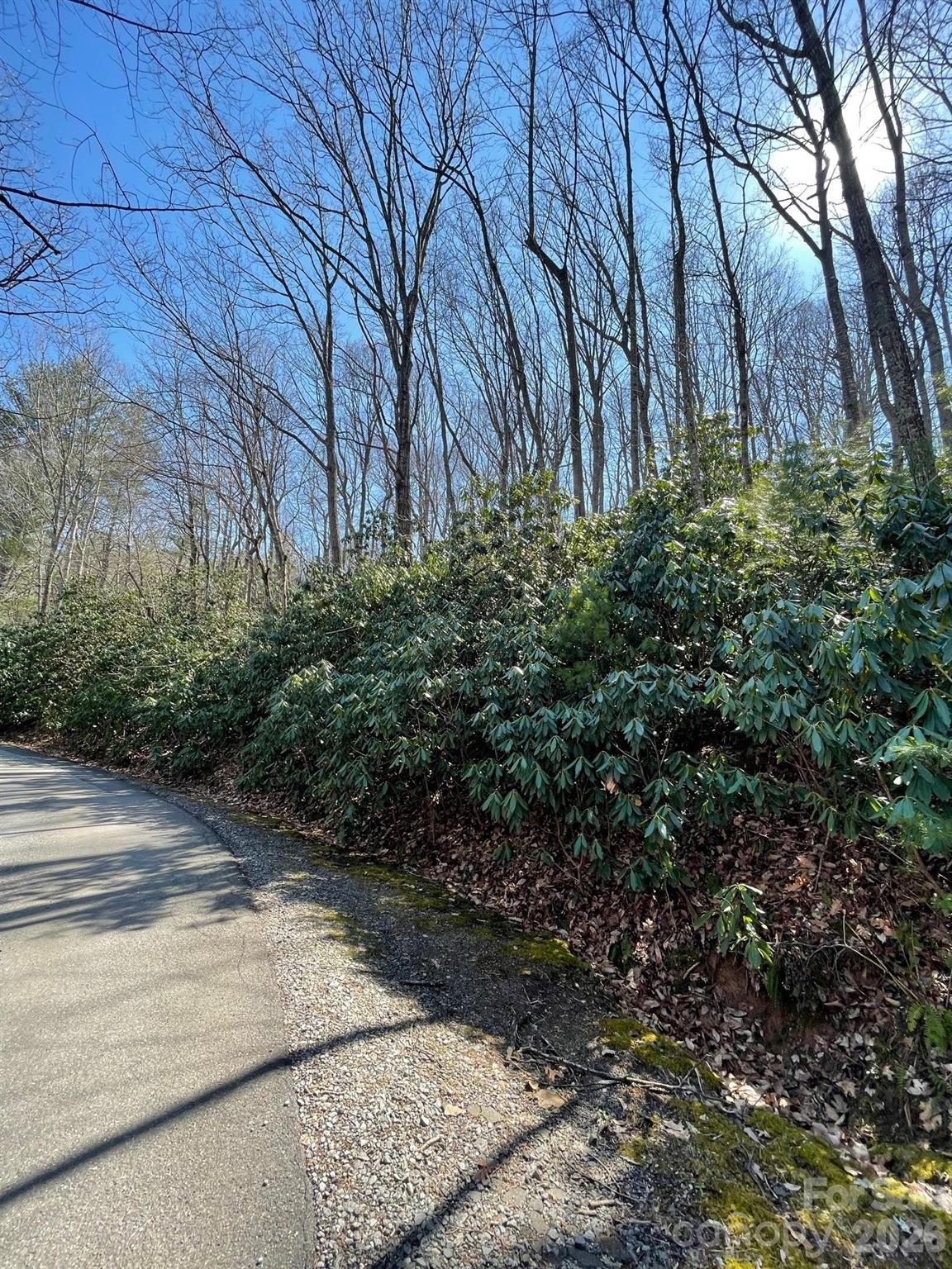 Buffalo Mountain - Land