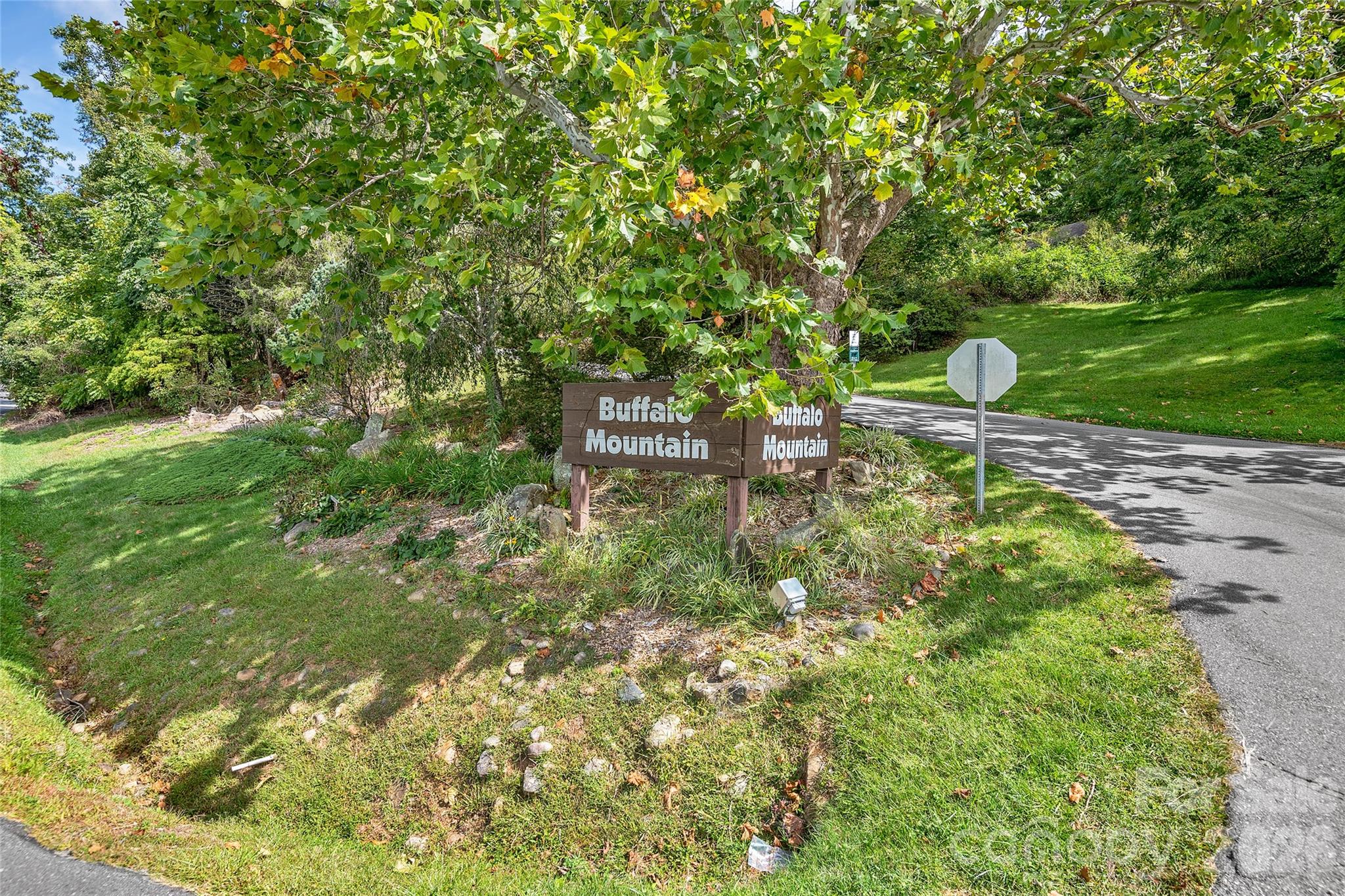 Buffalo Mountain - Land