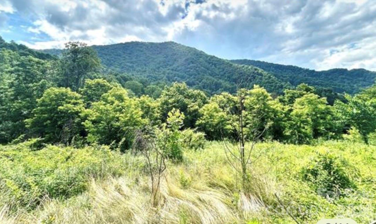 00 Split Pine Cove, Clyde, NC, 28721