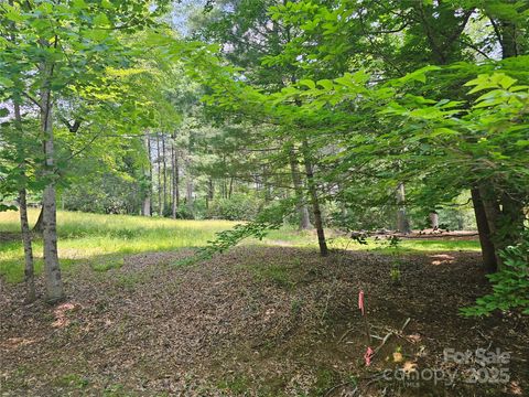 A3 Allison Creek Trail A3 Brevard NC 28712