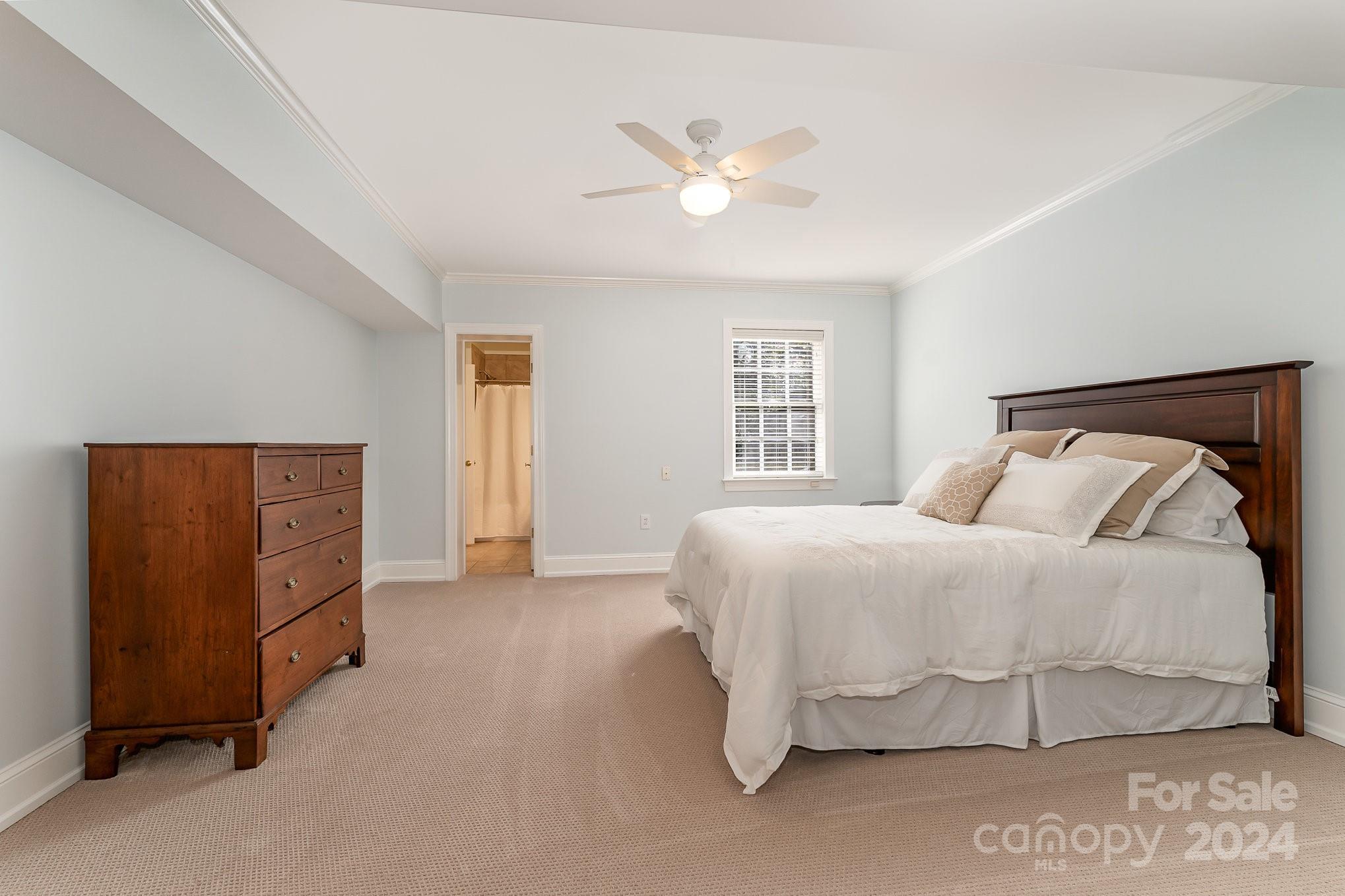 Buena Vista - Residential