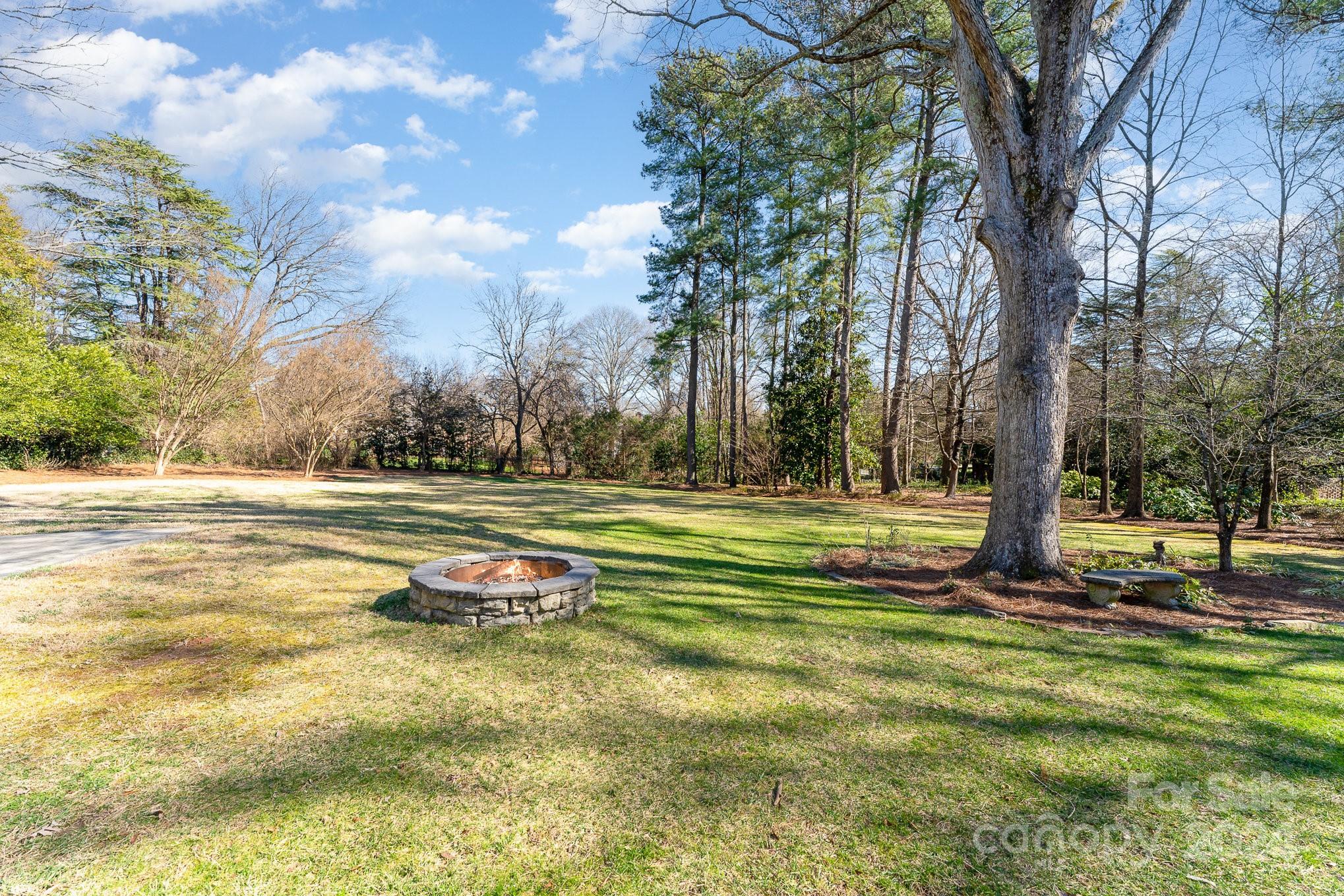 Buena Vista - Residential