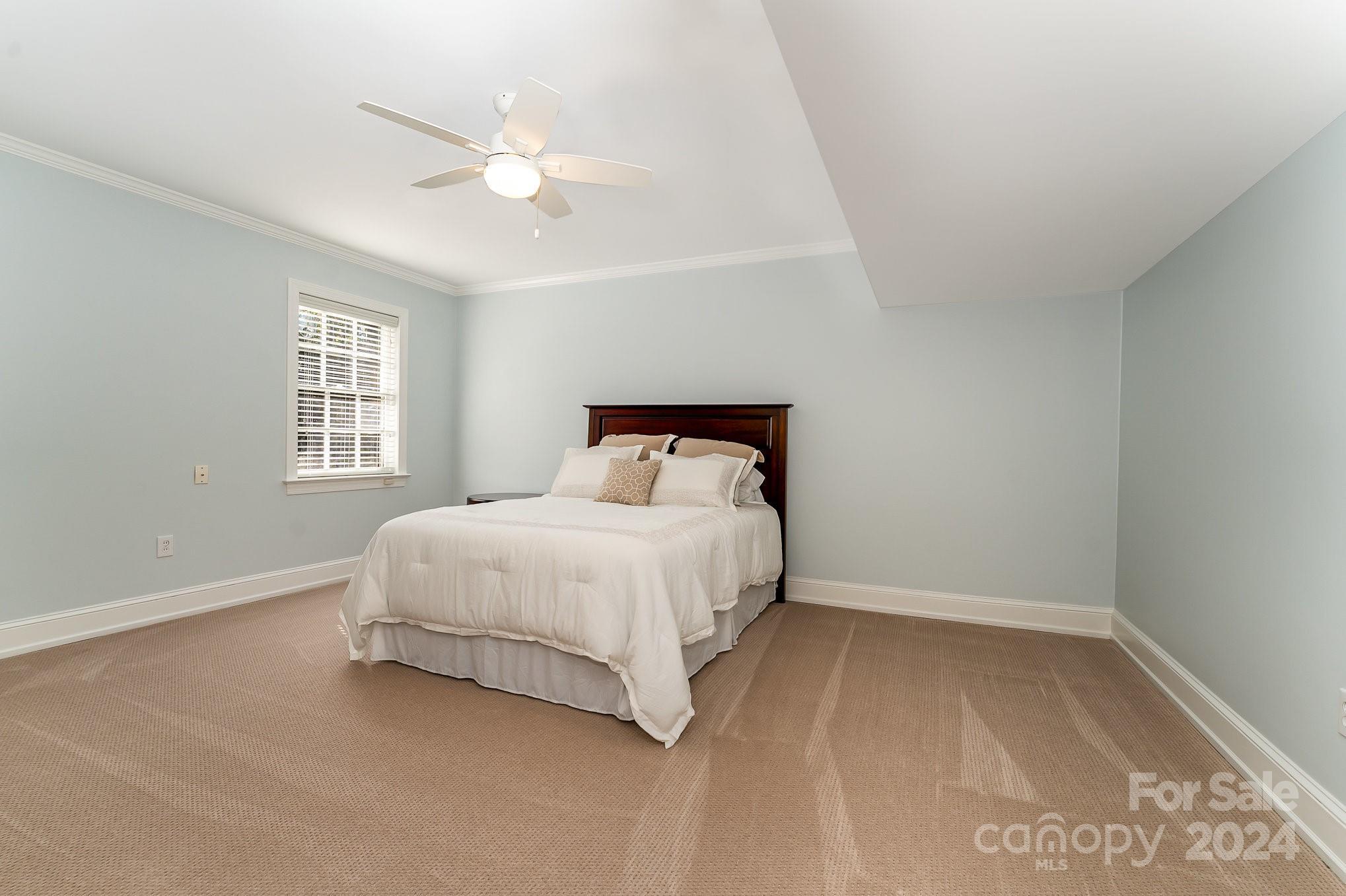 Buena Vista - Residential