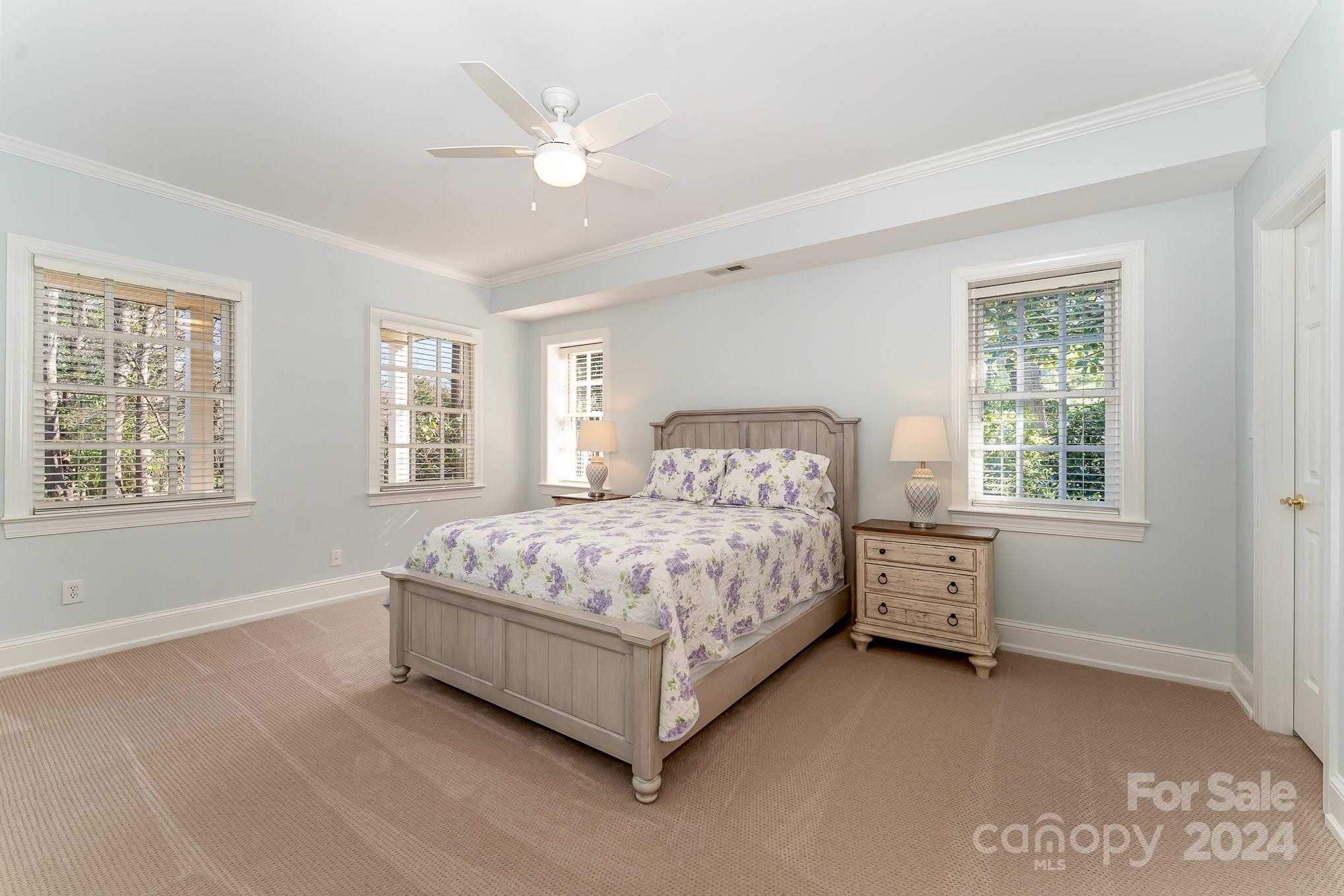 Buena Vista - Residential