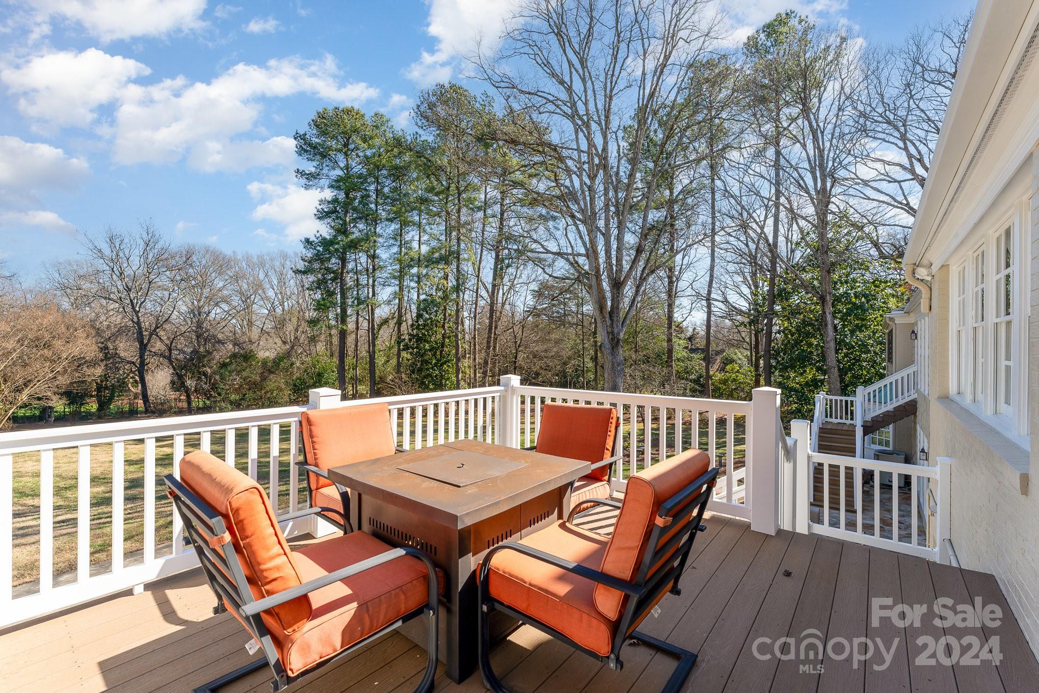 Buena Vista - Residential