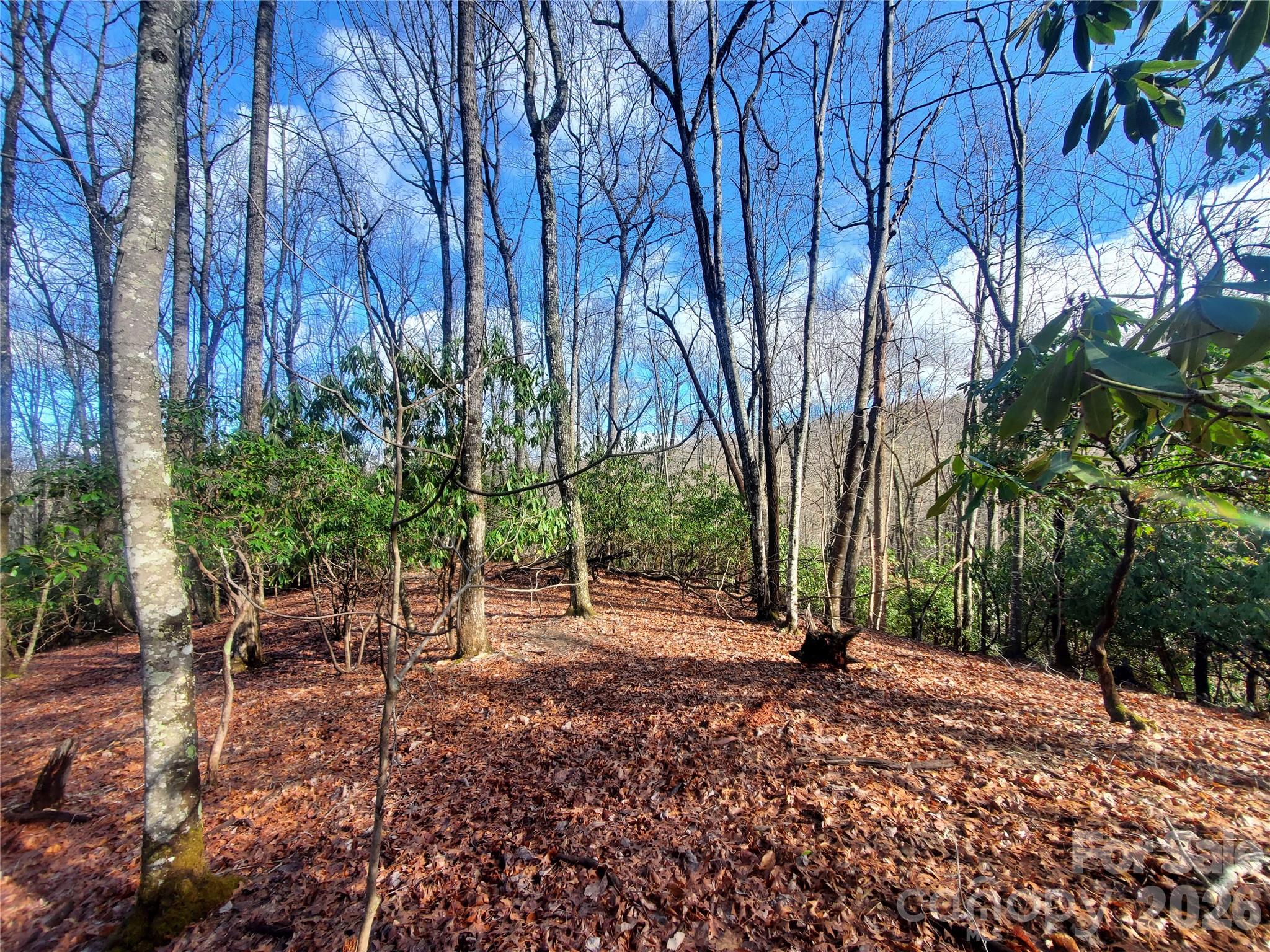TBD Skye Drive 803a & 803b