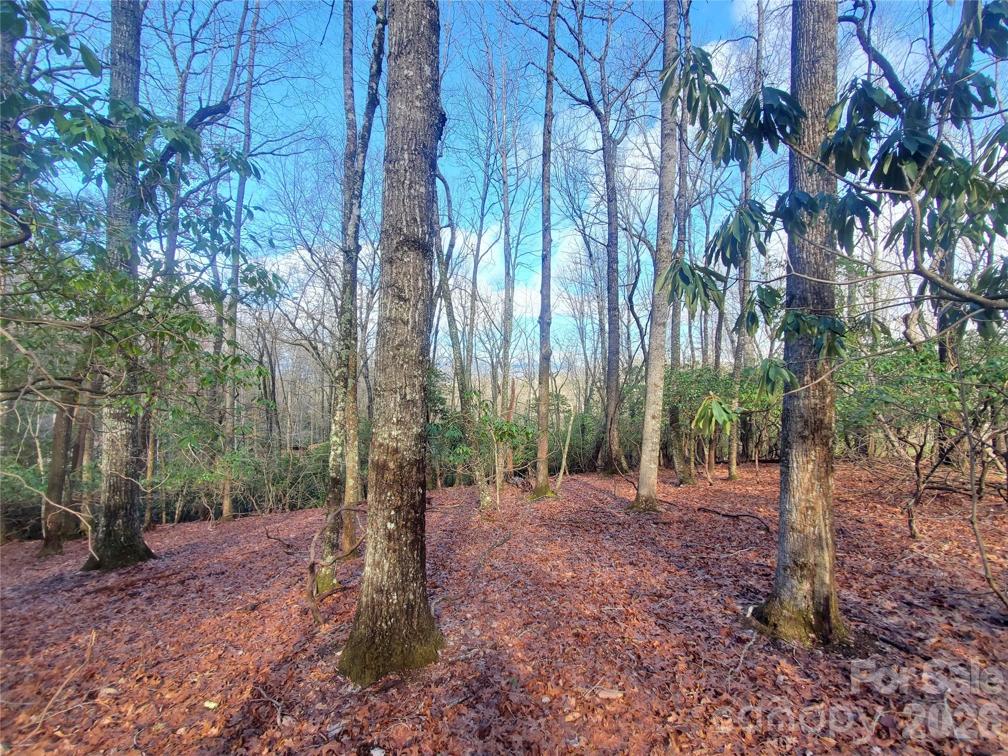 TBD Skye Drive 803a & 803b