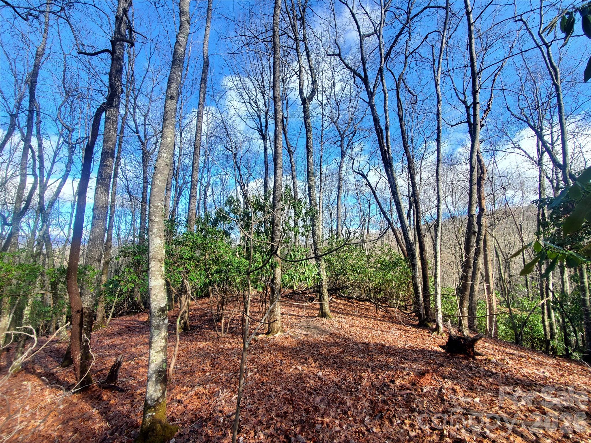 TBD Skye Drive 803a & 803b