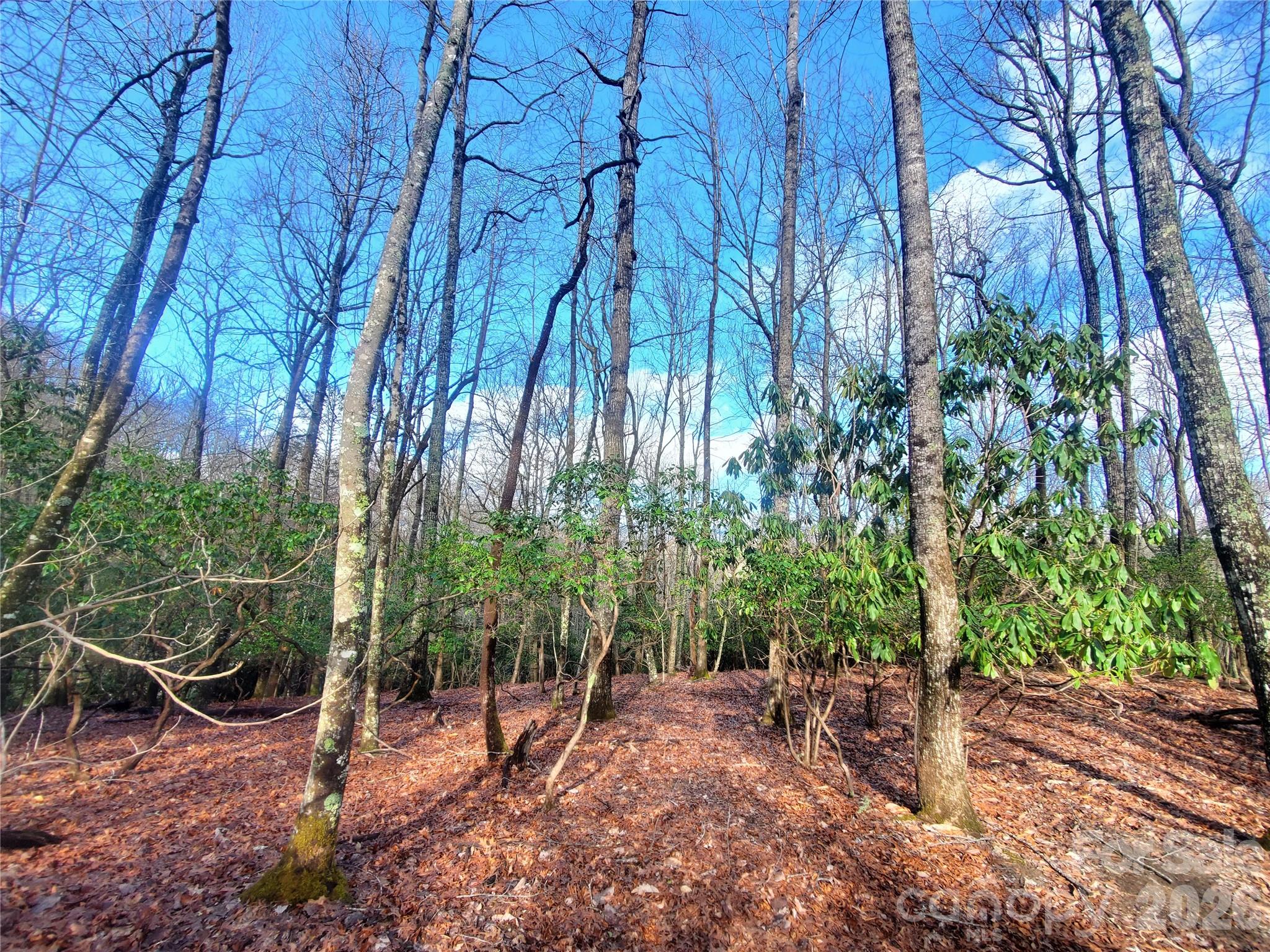 TBD Skye Drive 803a & 803b