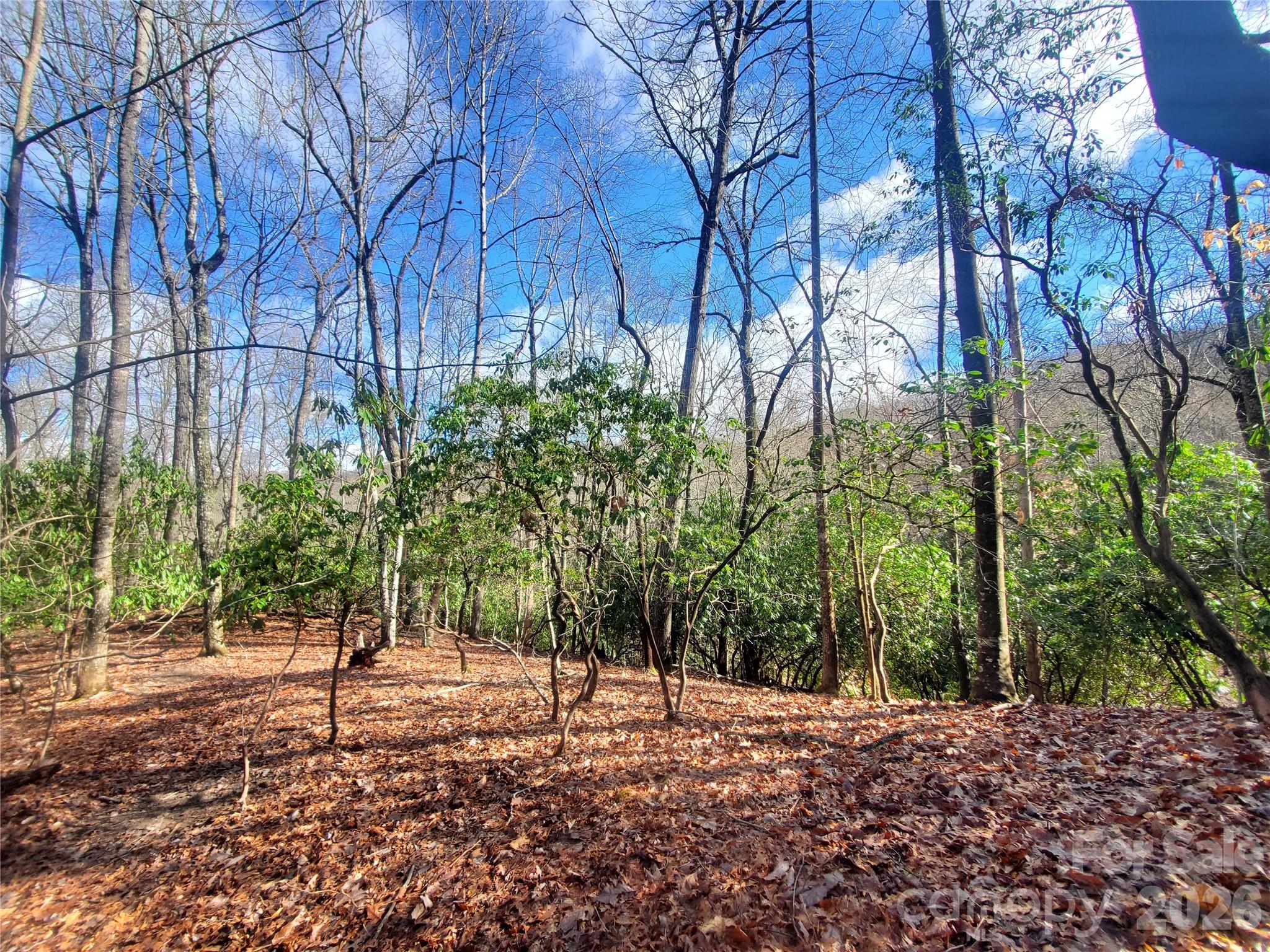 Photo 1 of 12 — TBD Skye Drive 803a & 803b, Pisgah Forest, NC 28768